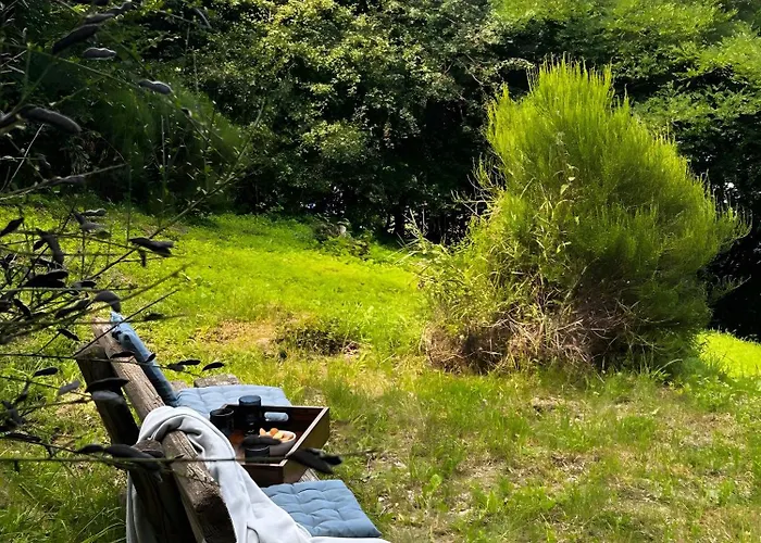 Vakantiehuis Talblick Sellinghausen *